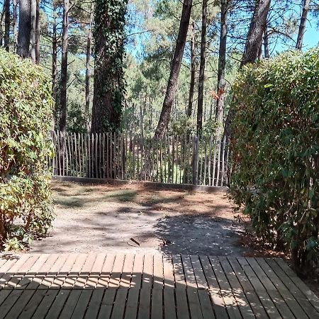 Holidays Resort Domaine Du Golf Piscine Chauffee D' Avril Au 1Er Octobre En Lisiere De Foret Avec Vue Sur La Pinede Lacanau-Ocean ภายนอก รูปภาพ
