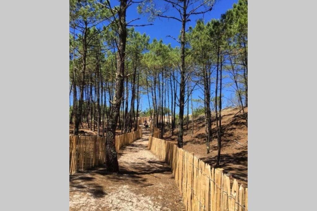 Holidays Resort Domaine Du Golf Piscine Chauffee D' Avril Au 1Er Octobre En Lisiere De Foret Avec Vue Sur La Pinede Lacanau-Ocean ภายนอก รูปภาพ