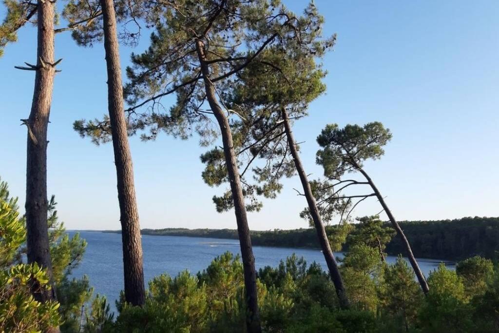 Holidays Resort Domaine Du Golf Piscine Chauffee D' Avril Au 1Er Octobre En Lisiere De Foret Avec Vue Sur La Pinede Lacanau-Ocean ภายนอก รูปภาพ