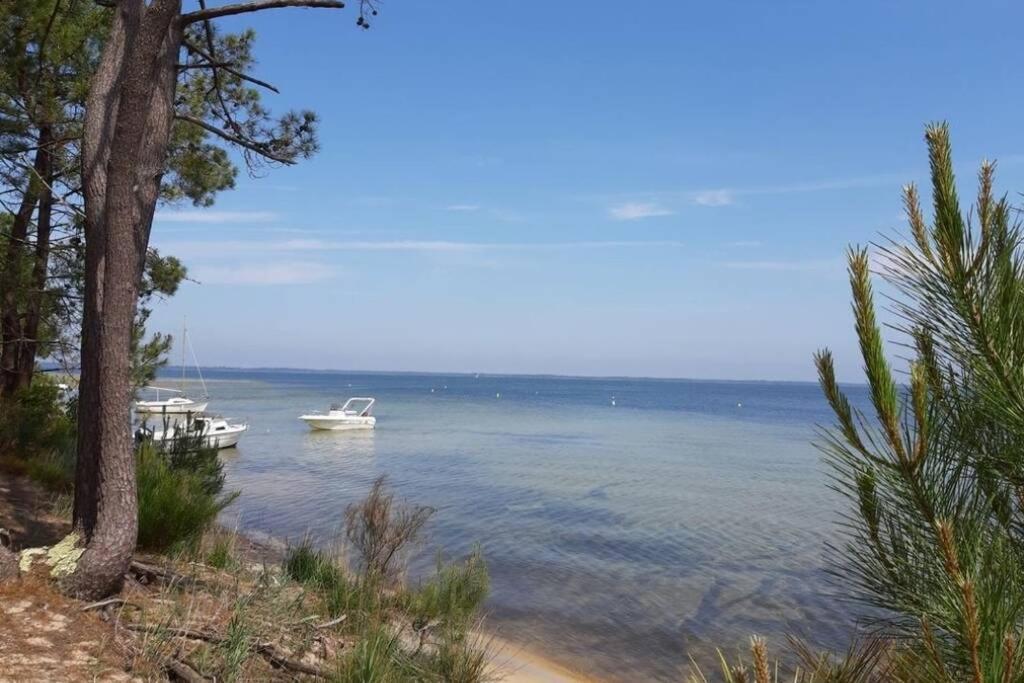 Holidays Resort Domaine Du Golf Piscine Chauffee D' Avril Au 1Er Octobre En Lisiere De Foret Avec Vue Sur La Pinede Lacanau-Ocean ภายนอก รูปภาพ