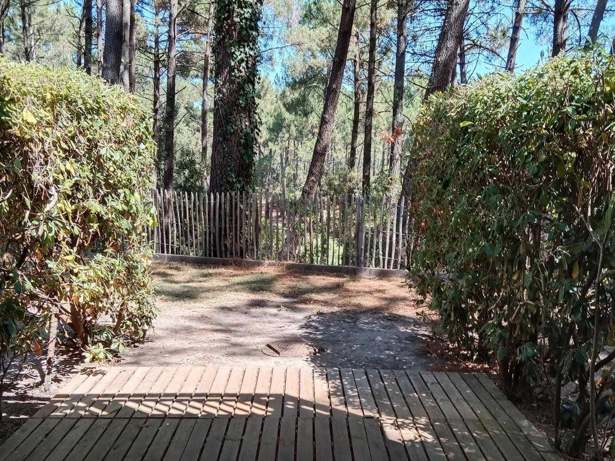 Holidays Resort Domaine Du Golf Piscine Chauffee D' Avril Au 1Er Octobre En Lisiere De Foret Avec Vue Sur La Pinede Lacanau-Ocean ภายนอก รูปภาพ